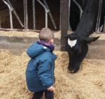 sortir amb nens a la fageda natura i vaques
